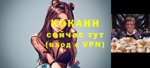 спайс Алексин