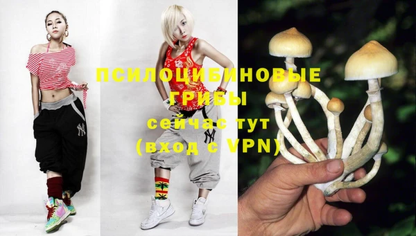 каннабис Алзамай